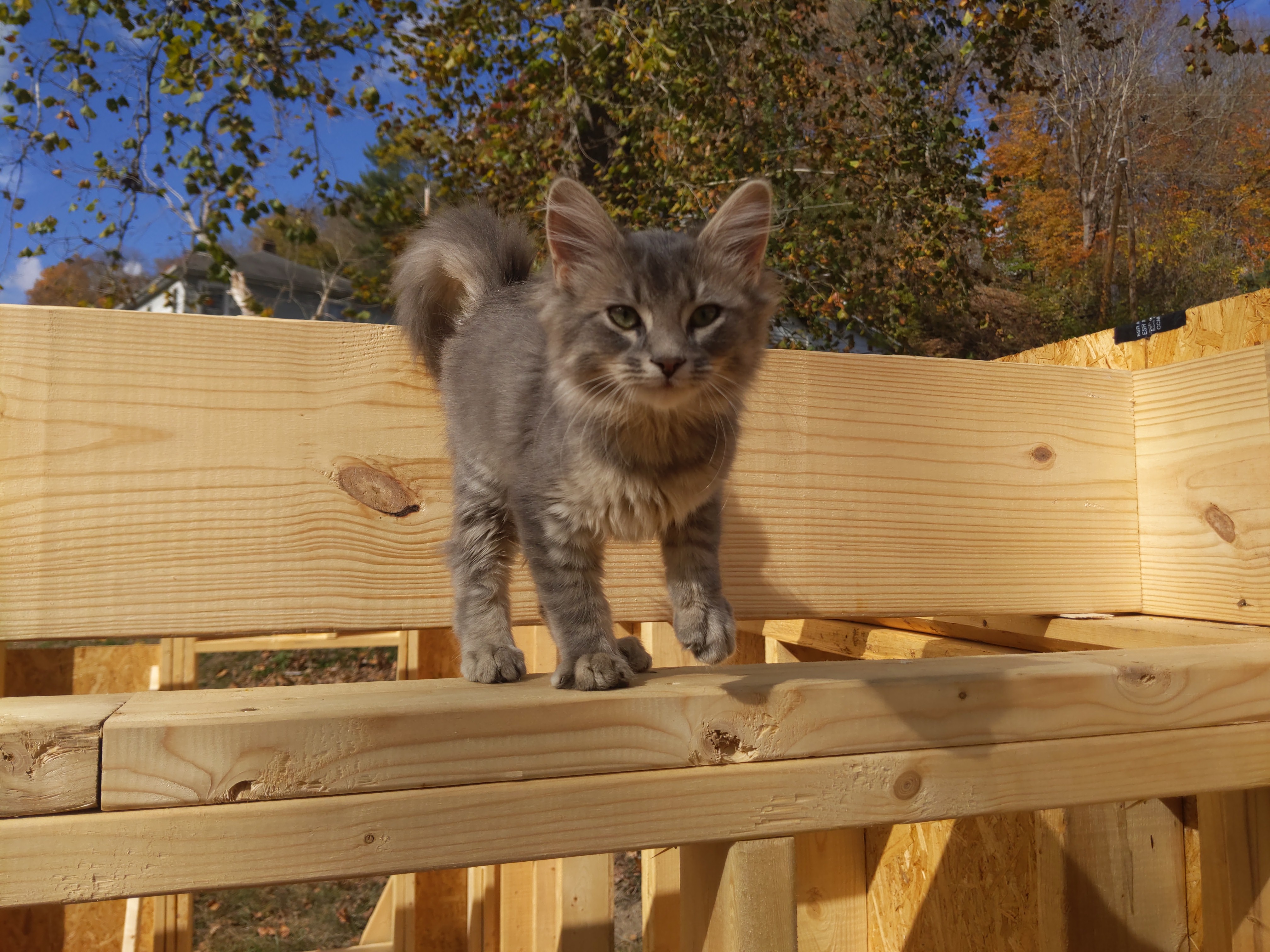 A picture of my progress.